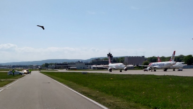 terra vermessungen ag aktuelles befliegung flughafen zuerich 2