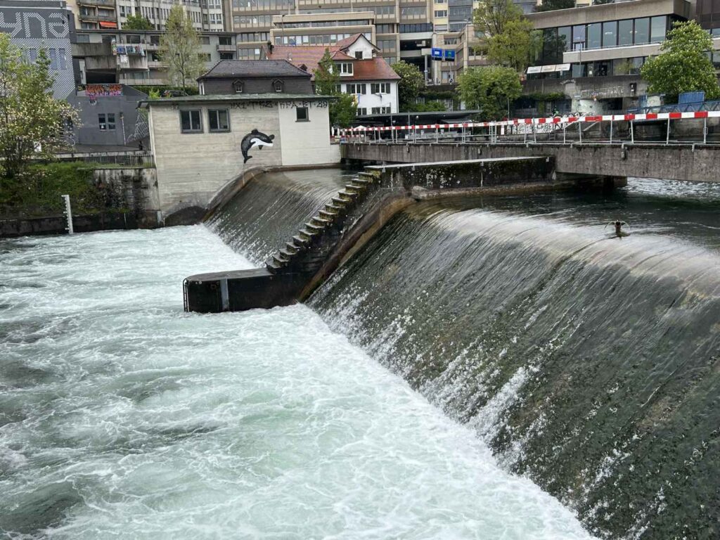 terra vermessungen ag aktuelles platzspitz zuerich 5