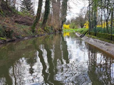 terra-vermessungen-ag-aktuelles-querprofile-rothkanal-beitragsbild